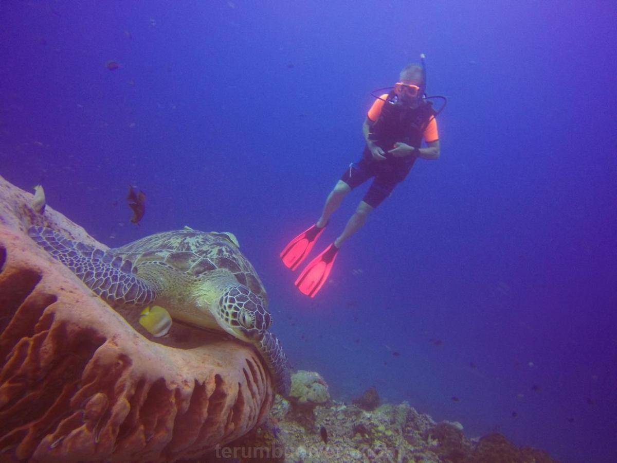 Anema Wellness & Resort Gili Lombok - Diving Center Padi Tanjung  Ngoại thất bức ảnh